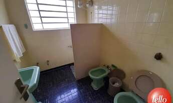 Imagem 4: São Paulo - Casa Padrão - Tucuruvi