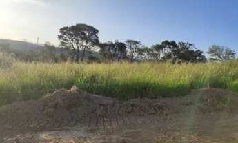 Imagem 4: Lotes com ótima topografia + vista privilegiada