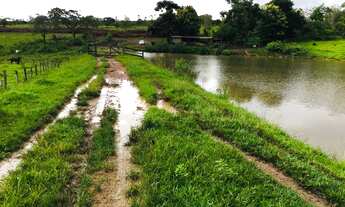 Imagem: Chácara 5 Alqueires 105 km de Goiânia