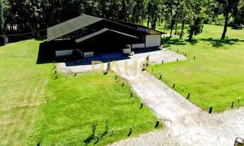 Imagem 3: Chácara Encantadora No Vila Nova