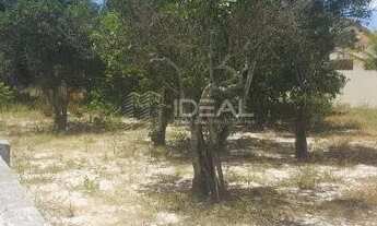 Imagem 6: Chácara com árvores frutíferas e casa aconchegante - 1.260m²