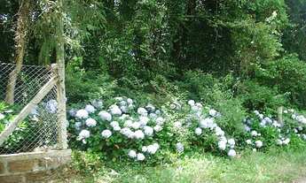 Imagem 2: Terreno no bairro Palace Hotel em Canela!