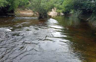 Imagem 5: Terrenos de 20.000 m² com Rio no fundo