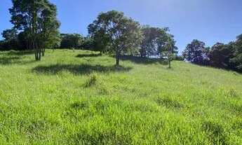 Imagem 7: LP- Vendo terreno com entrada baixa