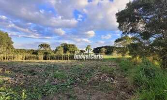 Imagem 7: Terreno à venda, 67146 m² por R$ 3.500.000,00 - Colônia Faria - Colombo/PR