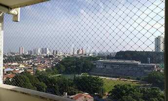 Imagem 3: Santo André - Apartamento Padrão - Parque Jaçatuba