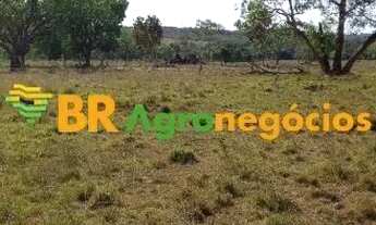 Imagem 6: Oportunidade: Fazenda de 38 Alqueires - Monte Santo - TO