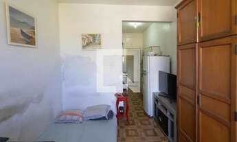 Imagem 4: Apartamento à Venda - Santa Teresa, 1 Quarto, 33 m2