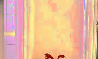 Imagem 7: APARTAMENTO DE 1 DORMITÓRIO NA REGIÃO DE SANTA CECILIA