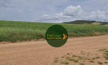 Imagem 6: Fazenda à venda, 2250600 m² por R$ 7.000.000 - Zona Rural - Buriti Alegre/GO