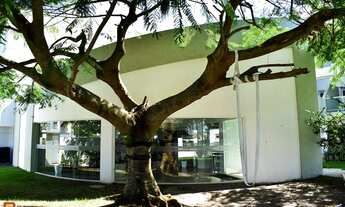 Imagem 4: Apartamento de 2 quartos para alugar no bairro Ingleses Do Rio Vermelho