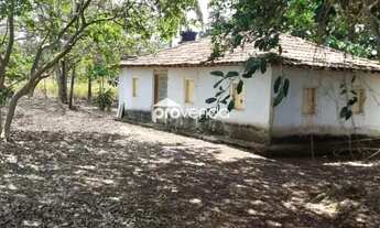 Imagem 2: CHÁCARA 29,66 HECTARES / 6,12 ALQUEIRES - ITAPURANGA - GO