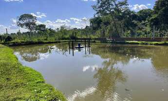 Imagem: Chácara 36 litros em Inhumas