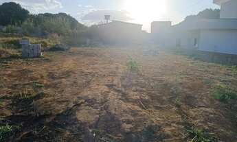 Imagem 7: Lote no Incra 7 BR 070 450 Metros Quadrados