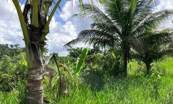 Imagem 4: Sítio para Venda em Maceió, Zona Rural, 2 dormitórios, 1 banheiro