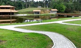 Imagem 5: Chácara linda, açude grande, poço artesiano, 150 metros do asfalto, em Campina grande do s