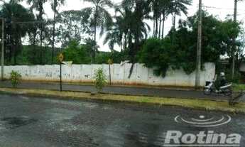 Imagem 3: Área à venda, Dona Zulmira - Uberlândia/MG - Rotina Imobiliária
