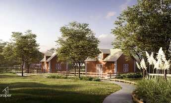 Imagem 3: Terreno no Laranjal - Pelotas/RS