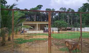 Imagem 3: Venda de chácara