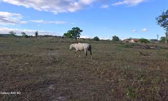 Imagem 6: Excelente área para sitio de 21. 5 t entre Anguera e Bonfim de Feira