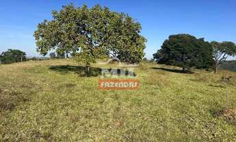 Imagem 7: Fazenda 33 alqueires (159,72 hectares) Edeia - GO