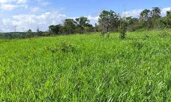 Imagem: Sítio para Venda em Maceió, Zona Rural