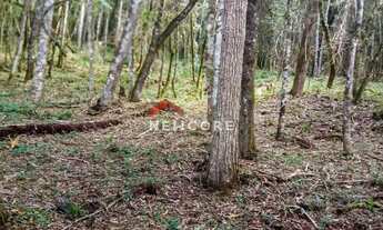 Imagem: Lote em Nova Capivari - Nova Capivari