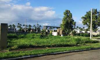 Imagem 6: Lote com 450m² à venda na exclusiva Praia do Marceneiro, em São Miguel dos Milagres