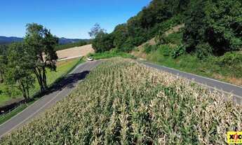 Imagem: Sítio / Chácara para Venda em Nova Petrópolis