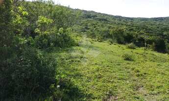 Imagem 2: Terreno à venda, 10 hectares, Morro do Fortunato- Garopaba-SC