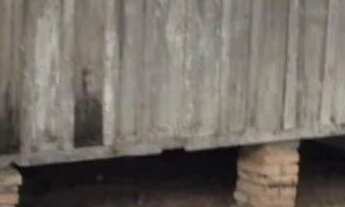 Imagem 5: Fazenda 3.750 hec em Lucialva MT. 200 hec abertos, 20 milhões