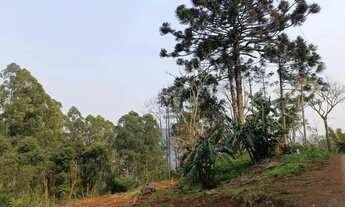 Imagem: Área de terra a venda em Nova Petrópolis.RS
