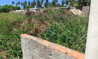 Imagem 14: No Paraíso de Tatuamunha tem umTerreno esperando por você!