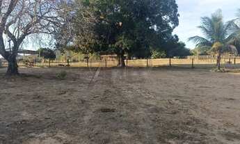 Imagem 4: Fazenda à Venda - 294 Alqueires Tocantins, na divisa com Goiás