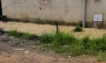 Imagem 2: Chácara 1000 metros dentro da cidade