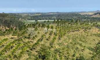 Imagem 2: Terreno com 7 alqueires à venda em Jabaquara, Anchieta/ES - ideal para pecuária, agricultu