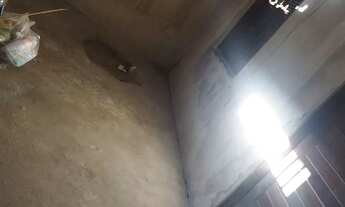 Imagem 7: Estou alugado pra Carnaval