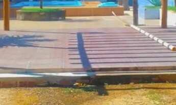 Imagem 2: Casa na praia do Abais para carnaval