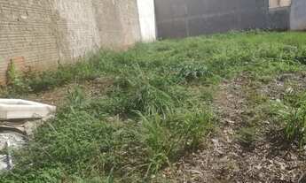 Imagem 3: Terreno em Ilha Solteira divisa de SP com MS - 305m2 (13x23,5)