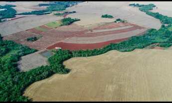 Imagem 4: Sítio em linha Boa Vista - Interior - Serranópolis do Iguaçu/PR