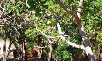 Imagem 4: Vende-se lote Terreno / lote com venda por R$20.000