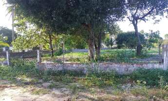 Imagem 3: Terreno próximo à praia da baleia Ceará, vila dos pracianos, terreno com água