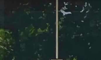 Imagem 2: Loja Comercial Galpão / depósito com 1 vaga na garagem