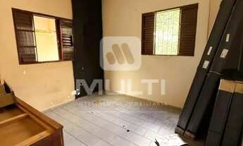 Imagem: Colonia - JARDIM BRASILIA