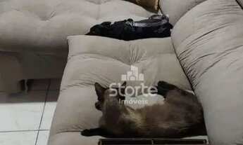 Imagem 5: Casa tipo Sobrado com 3 dormitórios à venda, 147 m² por R$ 450.000 - Jardim Holanda - Uber