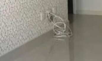 Imagem 4: APARTAMENTO - EMBARÉ - SP