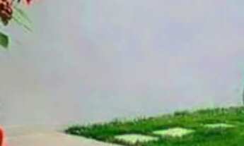 Imagem: Casa 2 quartos Nova Benfica