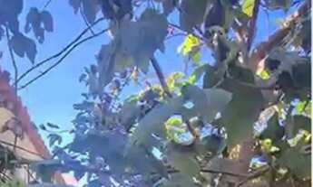 Imagem 4: Lote com 200m² no Bairro Gávea II em Vespasiano Murado