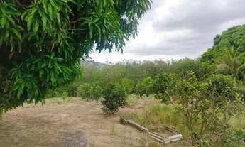 Imagem 7: SITIO - ORICURI ATALAIA - AL