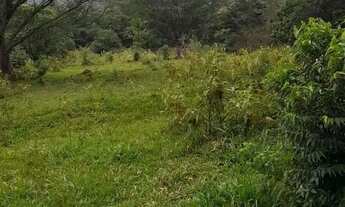 Imagem 6: Sítio em Município de Angatuba - Nunes - Angatuba/SP